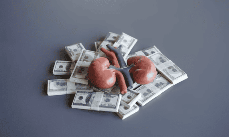 Pathalys raises $105M series B to prepare Japan-approved kidney disease drug for FDA