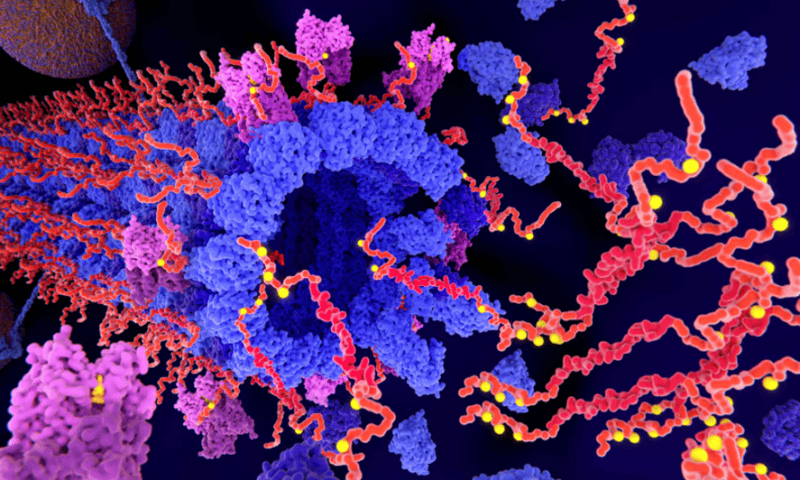 Researchers receive $6.9M grant for tau-targeting drug with potential in Alzheimer’s and beyond