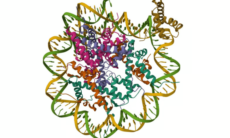 Talus Bio tacks on $11M to target hard-to-reach transcription factors