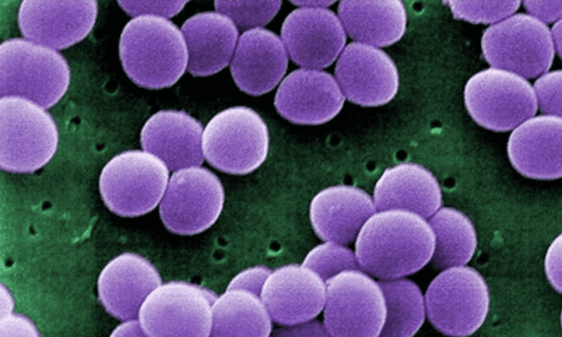 Inflammatix collects $57M as it awaits FDA review of infectious disease test