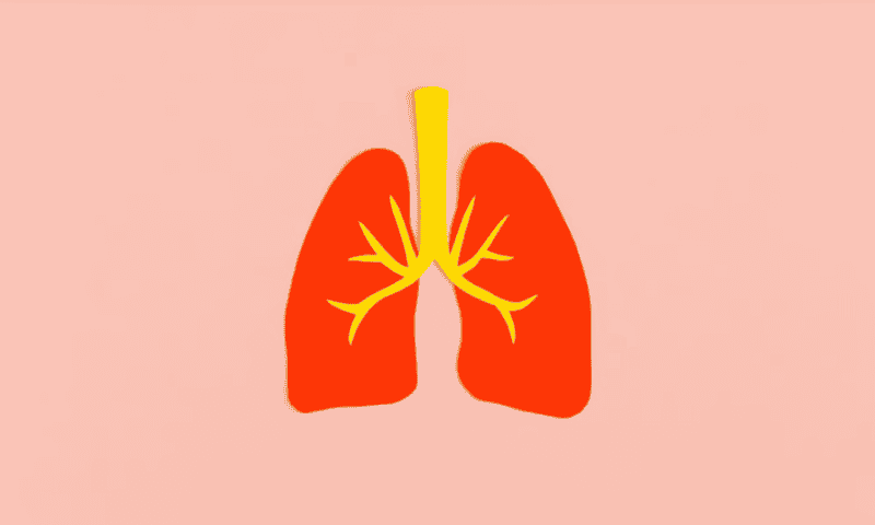 Merck, Daiichi rack up phase 3 ADC lung cancer win but report 2 deaths, immature OS data