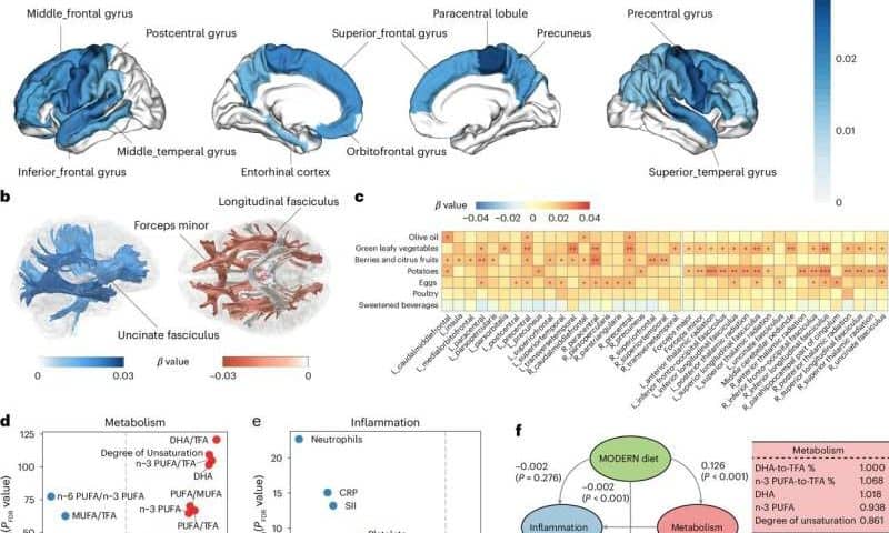 Dietary intervention optimized using machine learning could lower risk of dementia