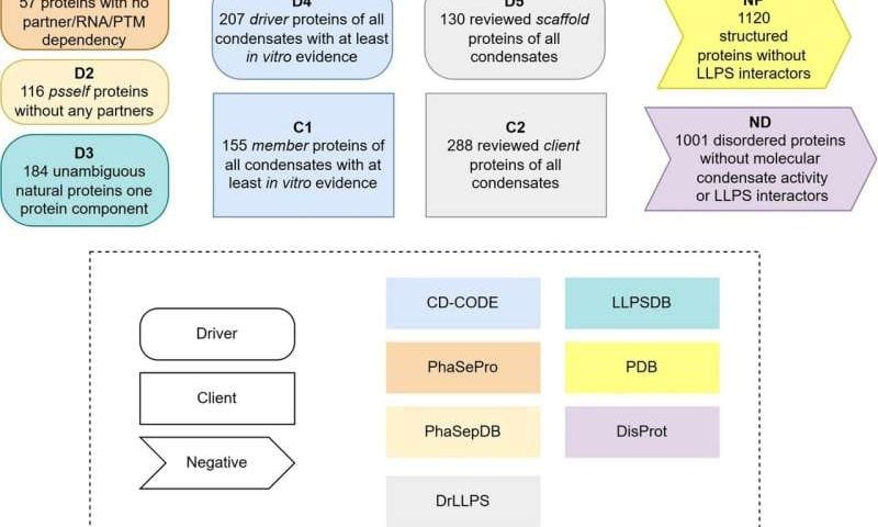 More reliable bioinformatics tools for the study of proteins
