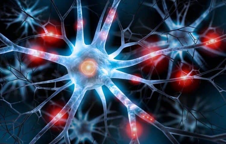 The future of CNS drug development: signs of real progress