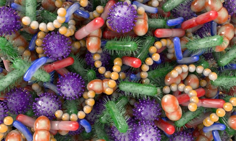 Antibacterials May One Day Be Derived from Ancient Archaea