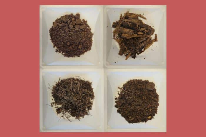 Novel Antibiotics Unearthed by Long-Read Sequencing of Soil Metagenome