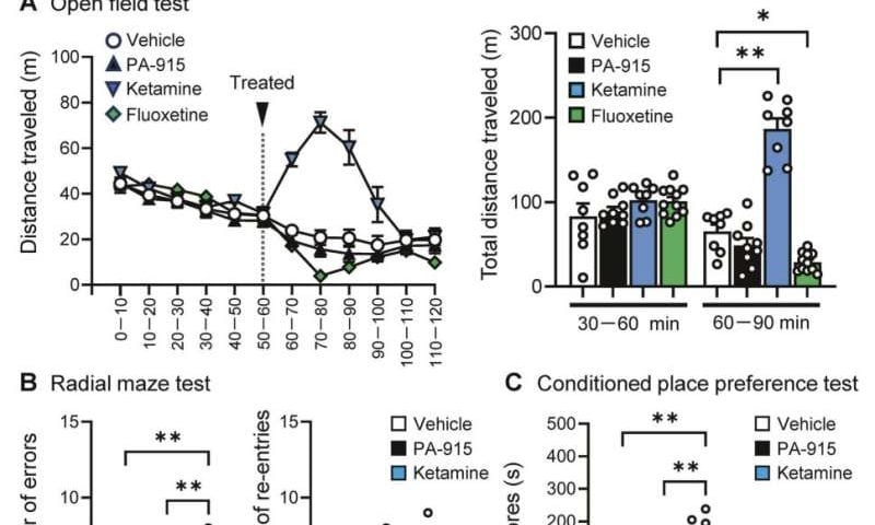 PA-915 molecule shows long-lasting antidepressant effects without common side effects in mice