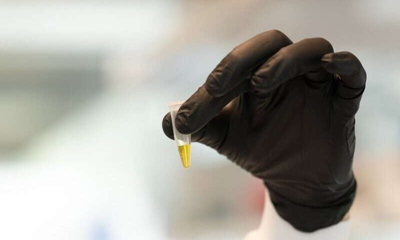 A new scale of biology: Massive datasets are aiding in the fight against superbugs