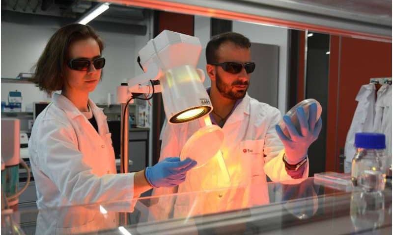 Fighting antibiotic resistance: Surface coating that kills germs can be reactivated using light