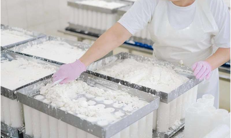 Inactive H5N1 influenza virus in pasteurized milk poses minimal health risks