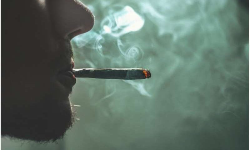 Inhaling cannabis may greatly increase your risk of getting asthma