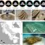 3D-printed helix shelters increase baby coral survival rates