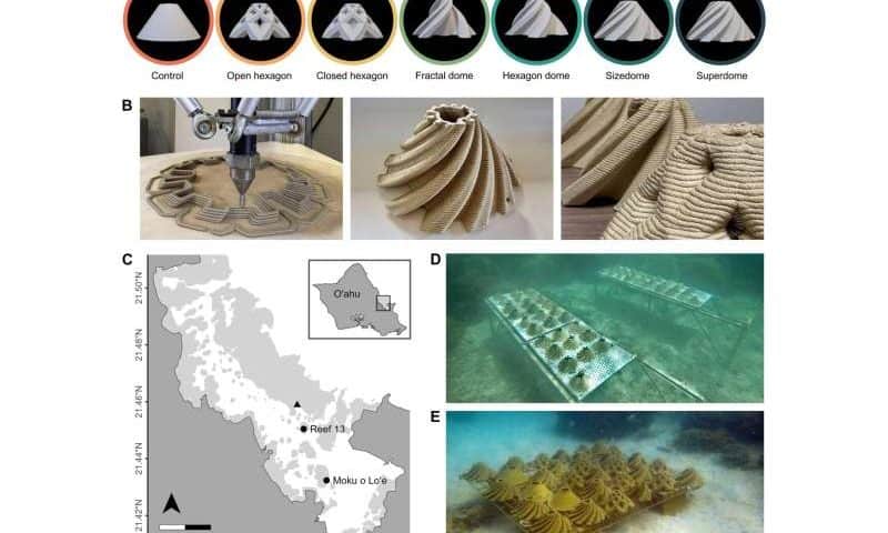 3D-printed helix shelters increase baby coral survival rates