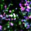 Blood cancer: Scientists reprogram cancer cell death to trigger immune system