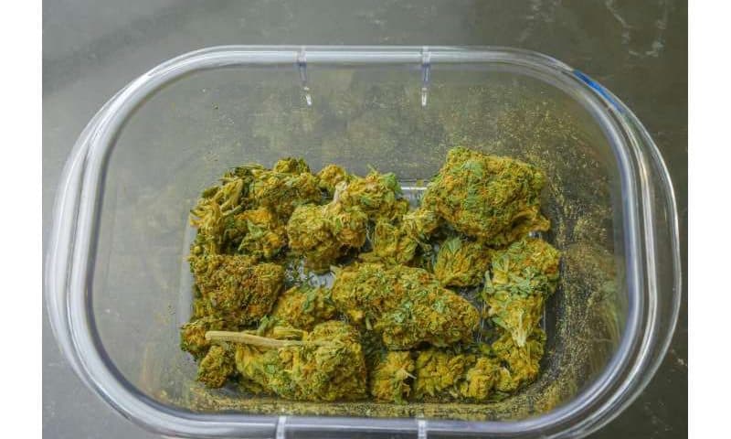 Surge in cannabis use seen among individuals with psychosis after legalization