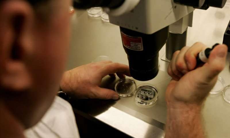 Human skin cells turned into fertilisable eggs for first time