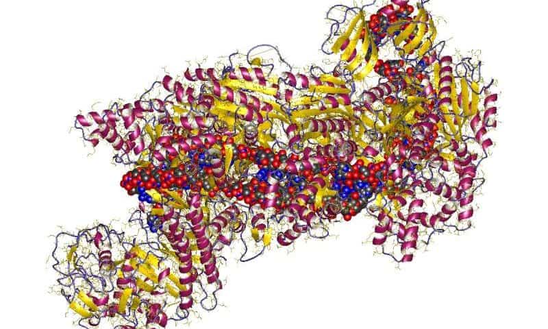 Cracking the CRISPR code to find the ‘passwords’ that unlock its full potential