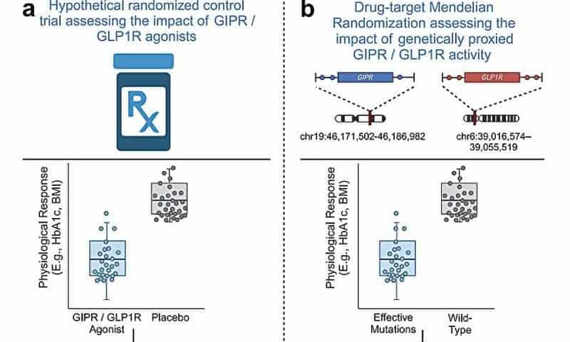 Diabetes drugs show promise for treatment of alcohol use disorder