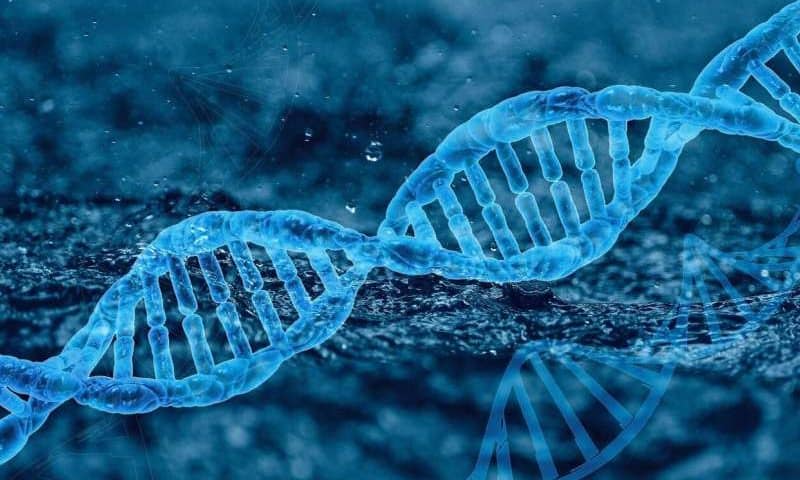 Stabilization of neuropathy scores seen after gene editing therapy for rare nerve disease