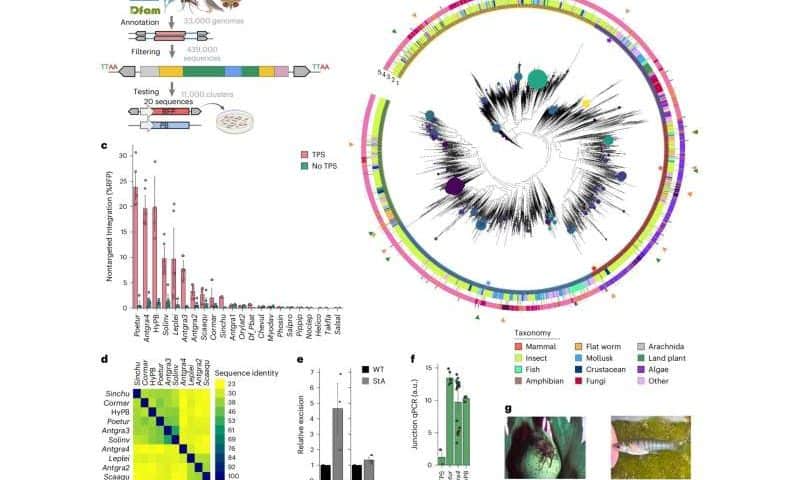 Generative AI can outperform nature at designing proteins to edit the genome