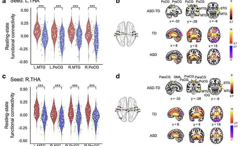 Experiment explores contribution of neural, epigenetic and behavioral factors to autism spectrum disorder