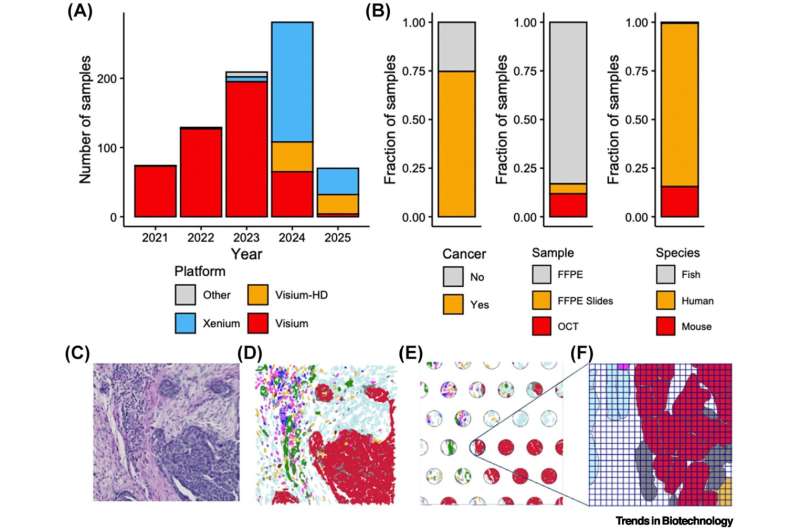 Spatial transcriptomics guide emerges from analyzed samples - Biotech Today