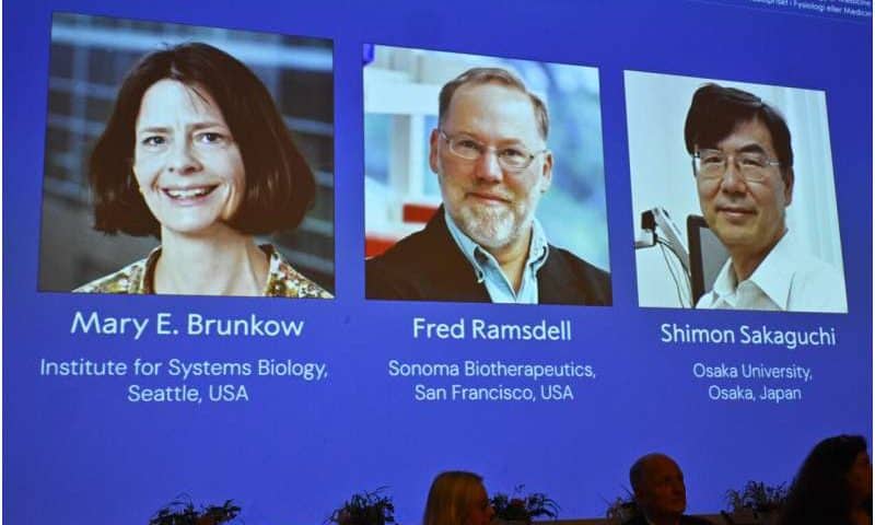 The Nobel Prize in medicine goes to 3 scientists for work on the human immune system