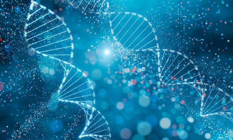 Proteome-Wide AI Model Supports Rare Disease Diagnosis Using Evolution