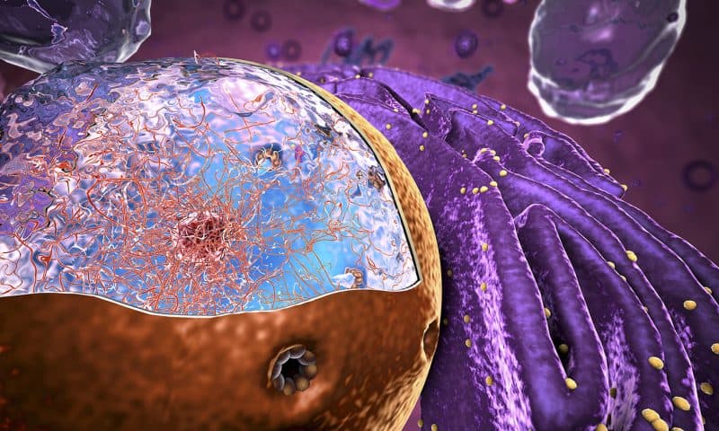 Turbocharging Cas9’s Nuclear Entry