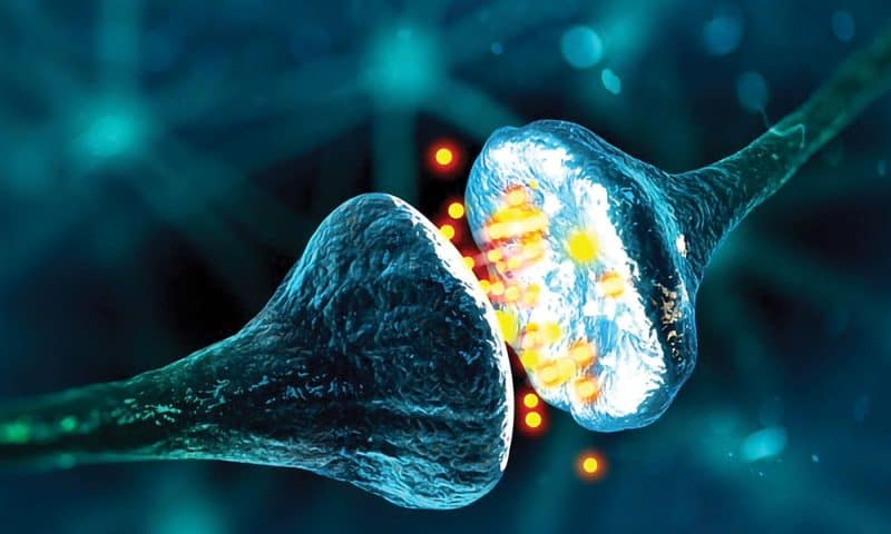 Role of Extracellular Phosphorylation at Synapses Informs Pain Research