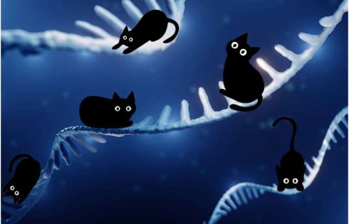 KATMAP: A new way to understand and predict gene splicing