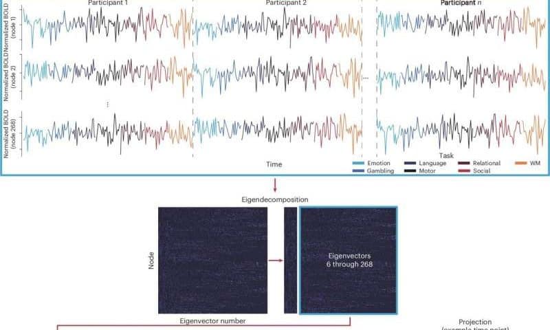Caricature-inspired brain mapping method sharpens forecasts of cognitive and emotional traits