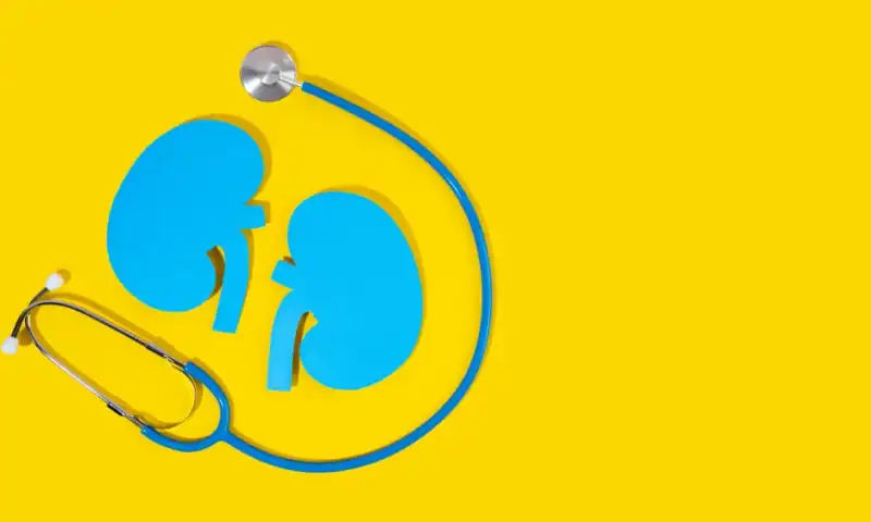 Otsuka Secures IgAN Win as FDA Approves First Anti-APRIL Antibody