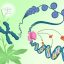 Epigenetic changes regulate gene expression, but what regulates epigenetics?