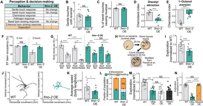 Insights from worms could help scientists harness the power of dietary restriction for longevity