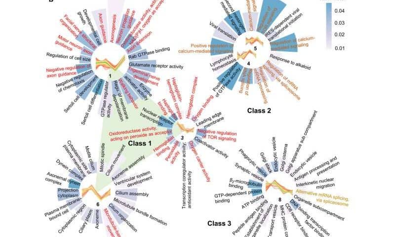 NAD⁺ restores memory in Alzheimer’s disease models by correcting RNA errors