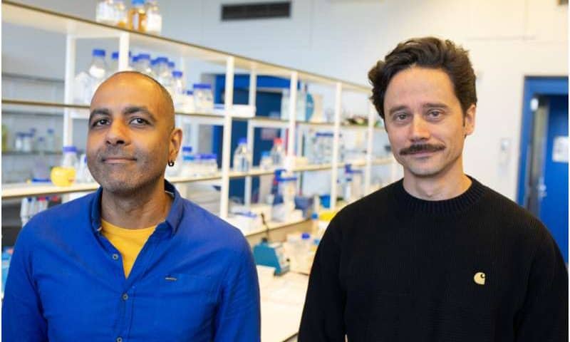 Watching DNA repair in real time with a live-cell sensor