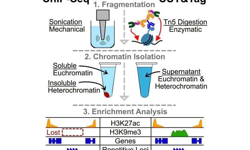 Unlocking the genome’s hidden half with new DNA sequencing technology