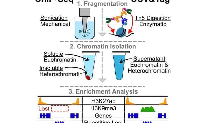 Unlocking the genome’s hidden half with new DNA sequencing technology
