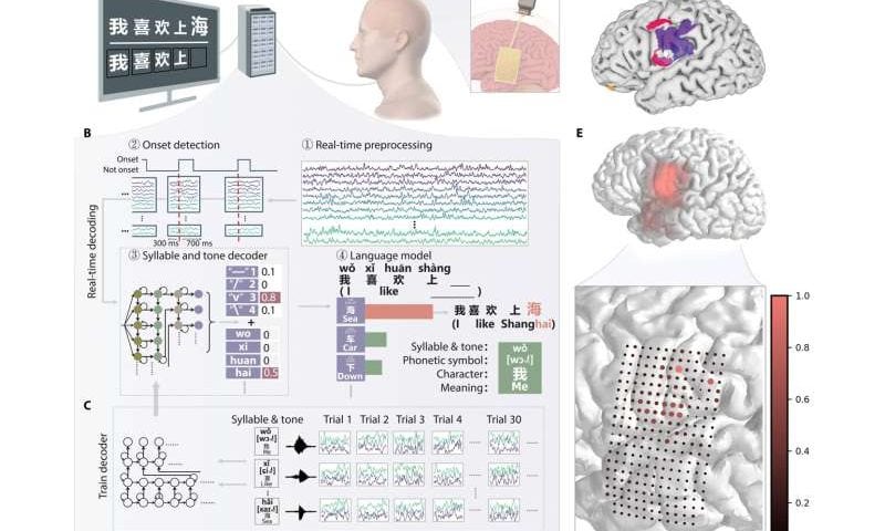 Brain-computer interface decodes Mandarin from neural signals in real time