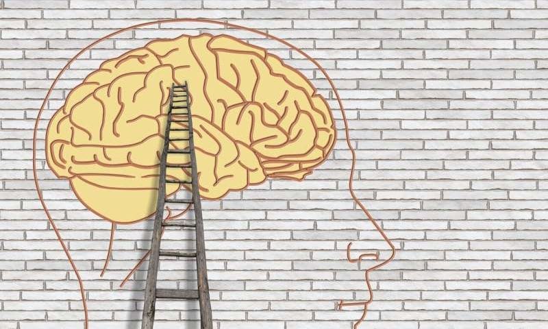 Research reveals shared genetic roots for psychiatric and neurological disorders