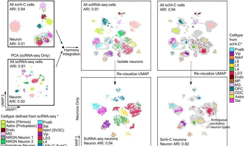 Creating better tools to read our DNA’s hidden instructions