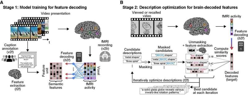 ‘Mind-captioning’ technique can read human thoughts from brain scans