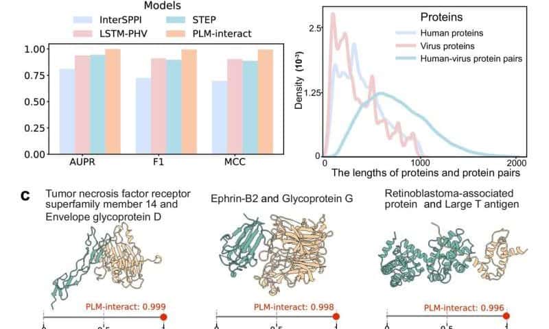 Supercomputer-developed AI learns the intricate language of biomolecules