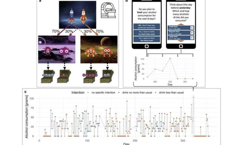 Specific brain activity patterns predict greater control over drinking behavior, study finds