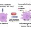 Cellular protein FGD3 boosts breast cancer chemotherapy and immunotherapy, study finds