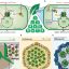 Synthetic biology to supercharge photosynthesis in crops