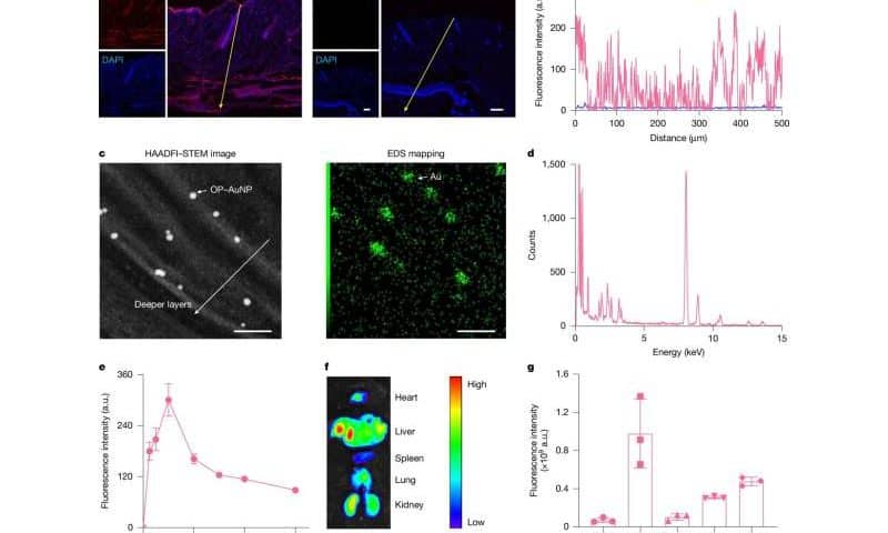 The future of insulin delivery for diabetes could be through a patch