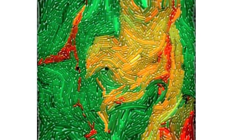 Microbial innovation and engineering design offer fresh solutions for plastic waste