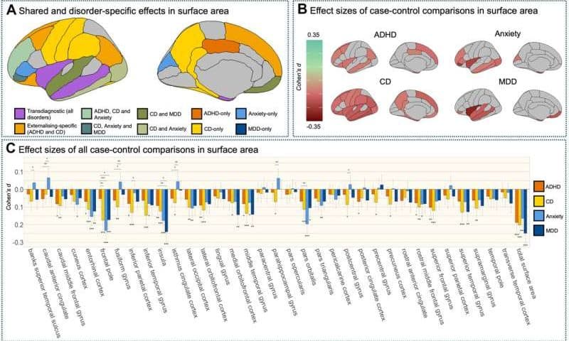 Youth with mental health conditions share strikingly similar brain changes, regardless of diagnosis